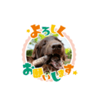ぼくがりる2（個別スタンプ：7）