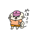 ハローパフ！（個別スタンプ：3）