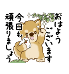 柴犬 2025 「丁寧な言葉・気遣い」（個別スタンプ：1）