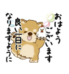 柴犬 2025 「丁寧な言葉・気遣い」（個別スタンプ：2）