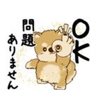 柴犬 2025 「丁寧な言葉・気遣い」（個別スタンプ：3）