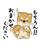 柴犬 2025 「丁寧な言葉・気遣い」（個別スタンプ：4）