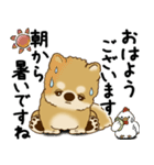 柴犬 2025 「丁寧な言葉・気遣い」（個別スタンプ：5）