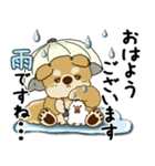 柴犬 2025 「丁寧な言葉・気遣い」（個別スタンプ：6）