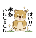 柴犬 2025 「丁寧な言葉・気遣い」（個別スタンプ：7）