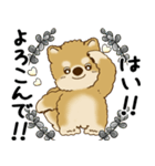 柴犬 2025 「丁寧な言葉・気遣い」（個別スタンプ：8）