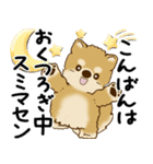 柴犬 2025 「丁寧な言葉・気遣い」（個別スタンプ：10）
