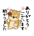 柴犬 2025 「丁寧な言葉・気遣い」（個別スタンプ：12）