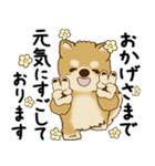 柴犬 2025 「丁寧な言葉・気遣い」（個別スタンプ：13）