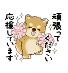 柴犬 2025 「丁寧な言葉・気遣い」（個別スタンプ：14）