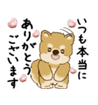 柴犬 2025 「丁寧な言葉・気遣い」（個別スタンプ：15）