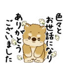 柴犬 2025 「丁寧な言葉・気遣い」（個別スタンプ：16）