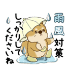 柴犬 2025 「丁寧な言葉・気遣い」（個別スタンプ：17）