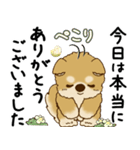 柴犬 2025 「丁寧な言葉・気遣い」（個別スタンプ：20）