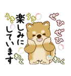 柴犬 2025 「丁寧な言葉・気遣い」（個別スタンプ：23）