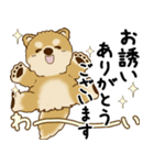 柴犬 2025 「丁寧な言葉・気遣い」（個別スタンプ：24）