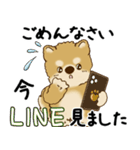 柴犬 2025 「丁寧な言葉・気遣い」（個別スタンプ：26）