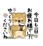 柴犬 2025 「丁寧な言葉・気遣い」（個別スタンプ：27）