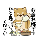 柴犬 2025 「丁寧な言葉・気遣い」（個別スタンプ：28）