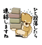 柴犬 2025 「丁寧な言葉・気遣い」（個別スタンプ：29）