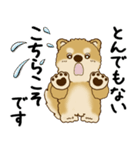 柴犬 2025 「丁寧な言葉・気遣い」（個別スタンプ：31）