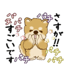 柴犬 2025 「丁寧な言葉・気遣い」（個別スタンプ：32）