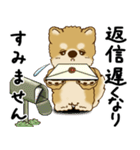 柴犬 2025 「丁寧な言葉・気遣い」（個別スタンプ：33）