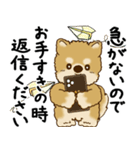 柴犬 2025 「丁寧な言葉・気遣い」（個別スタンプ：34）