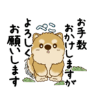 柴犬 2025 「丁寧な言葉・気遣い」（個別スタンプ：35）