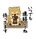 柴犬 2025 「丁寧な言葉・気遣い」（個別スタンプ：37）