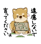 柴犬 2025 「丁寧な言葉・気遣い」（個別スタンプ：38）