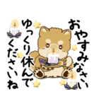 柴犬 2025 「丁寧な言葉・気遣い」（個別スタンプ：40）