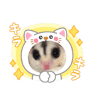 うちのモモンガ(2856)（個別スタンプ：1）