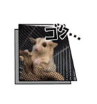 うちのモモンガ(2856)（個別スタンプ：5）