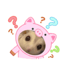 うちのモモンガ(2856)（個別スタンプ：6）