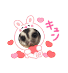 うちのモモンガ(2856)（個別スタンプ：7）