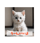 子猫が返事（肯定のみ）（個別スタンプ：3）