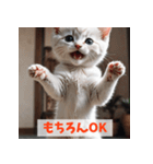 子猫が返事（肯定のみ）（個別スタンプ：5）