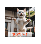 子猫が返事（肯定のみ）（個別スタンプ：7）