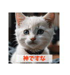 子猫が返事（肯定のみ）（個別スタンプ：8）