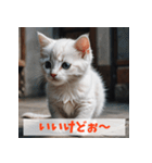 子猫が返事（肯定のみ）（個別スタンプ：10）