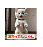 子猫が返事（肯定のみ）（個別スタンプ：11）