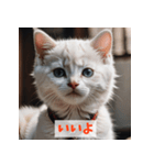子猫が返事（肯定のみ）（個別スタンプ：12）