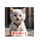 子猫が返事（肯定のみ）（個別スタンプ：13）