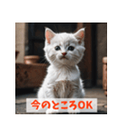 子猫が返事（肯定のみ）（個別スタンプ：17）