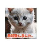 子猫が返事（肯定のみ）（個別スタンプ：18）