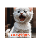 子猫が返事（肯定のみ）（個別スタンプ：20）