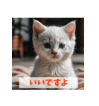 子猫が返事（肯定のみ）（個別スタンプ：21）
