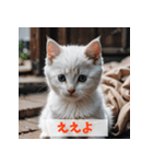 子猫が返事（肯定のみ）（個別スタンプ：25）
