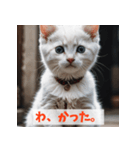 子猫が返事（肯定のみ）（個別スタンプ：26）